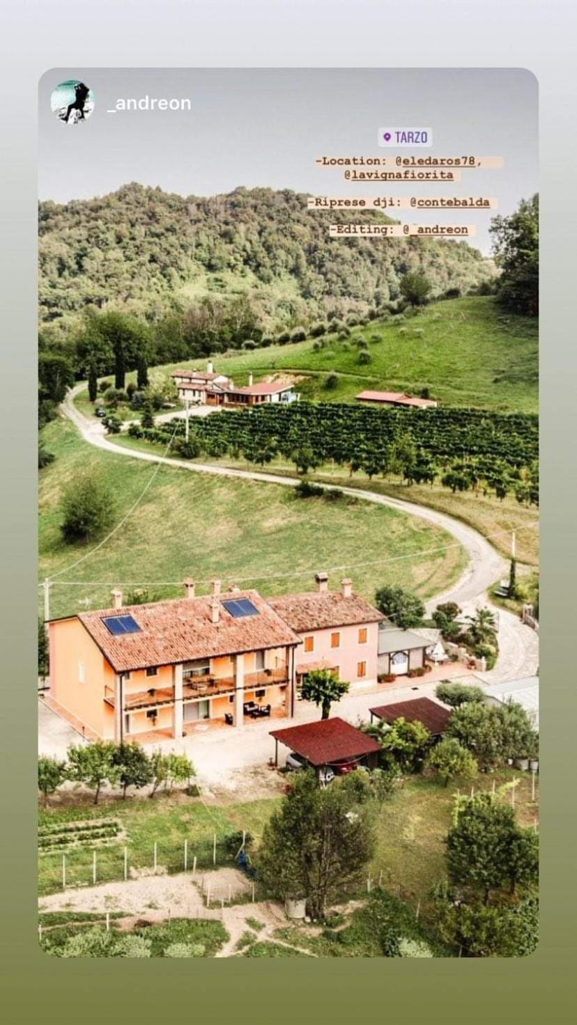 La Vigna Fiorita B&B Tarzo Exteriér fotografie